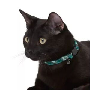Whisker City Exclusive Green Plaid Easy Release Adult Cat Collar (8in-12in) NWT